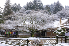 いつかの雪降る日