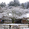 いつかの雪降る日
