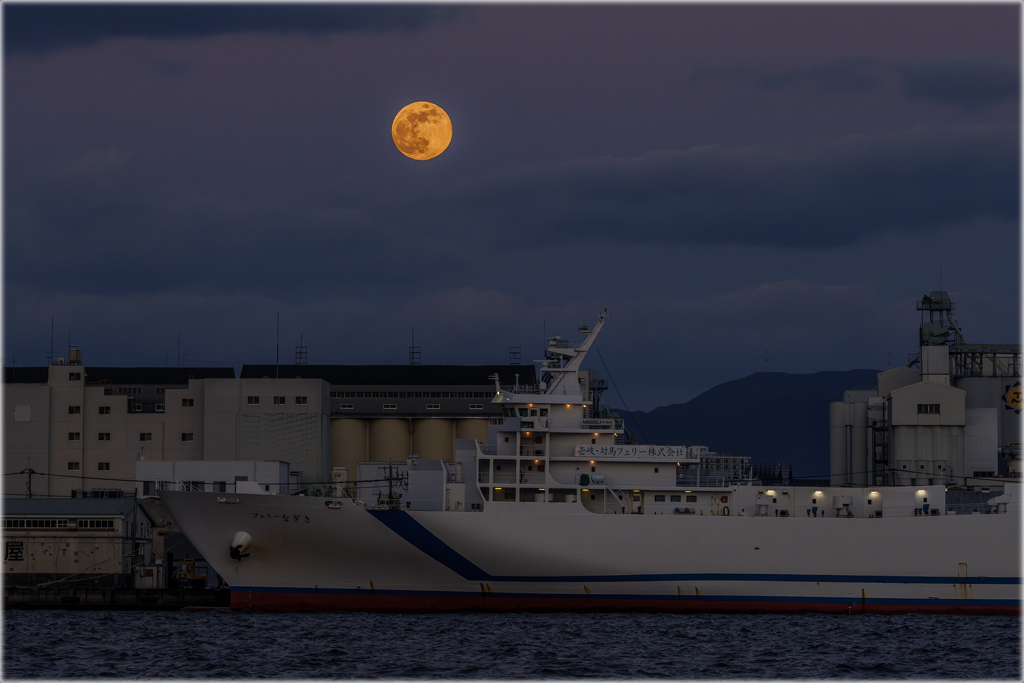 満月ウルフムーン