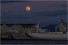 満月ウルフムーン