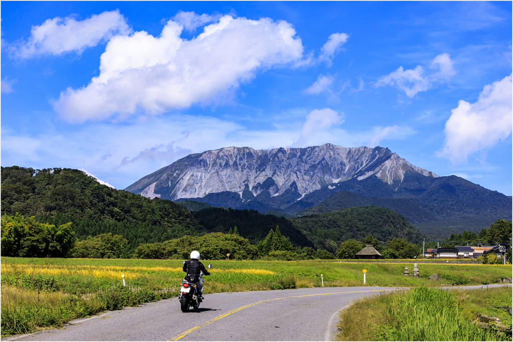 大山に向って