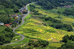 真夏の棚田巡り9