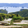小さい棚田