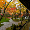 晩秋の枯山水3