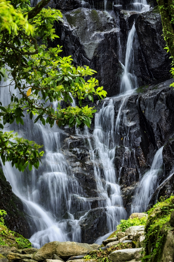 白糸の滝