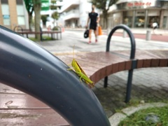 雨上がり