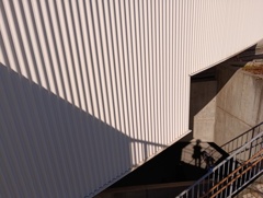 IMG_20241123_121239_1