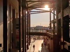 IMG_20241130_152204_1