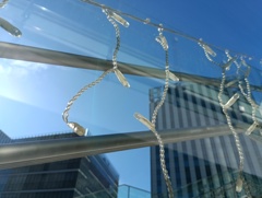 IMG_20241117_125001_1