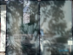 IMG_20241117_124642_1