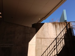 IMG_20241123_121345_1