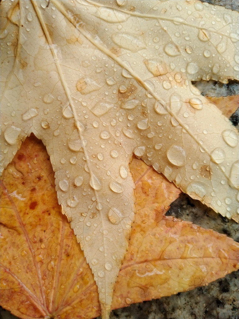 雨天