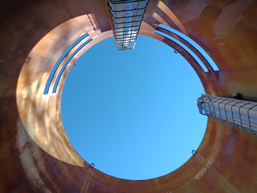 IMG_20241123_121832_1