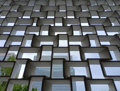 IMG_20250428_123347_1