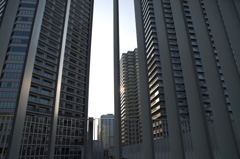 IMGP1474