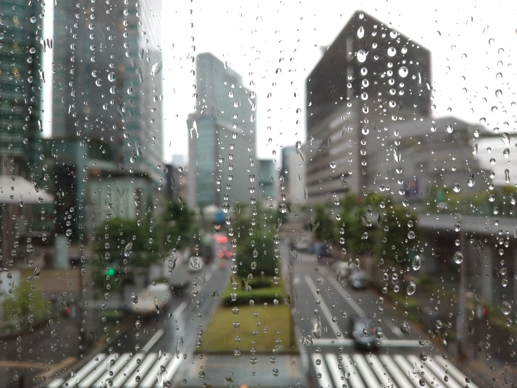 雨