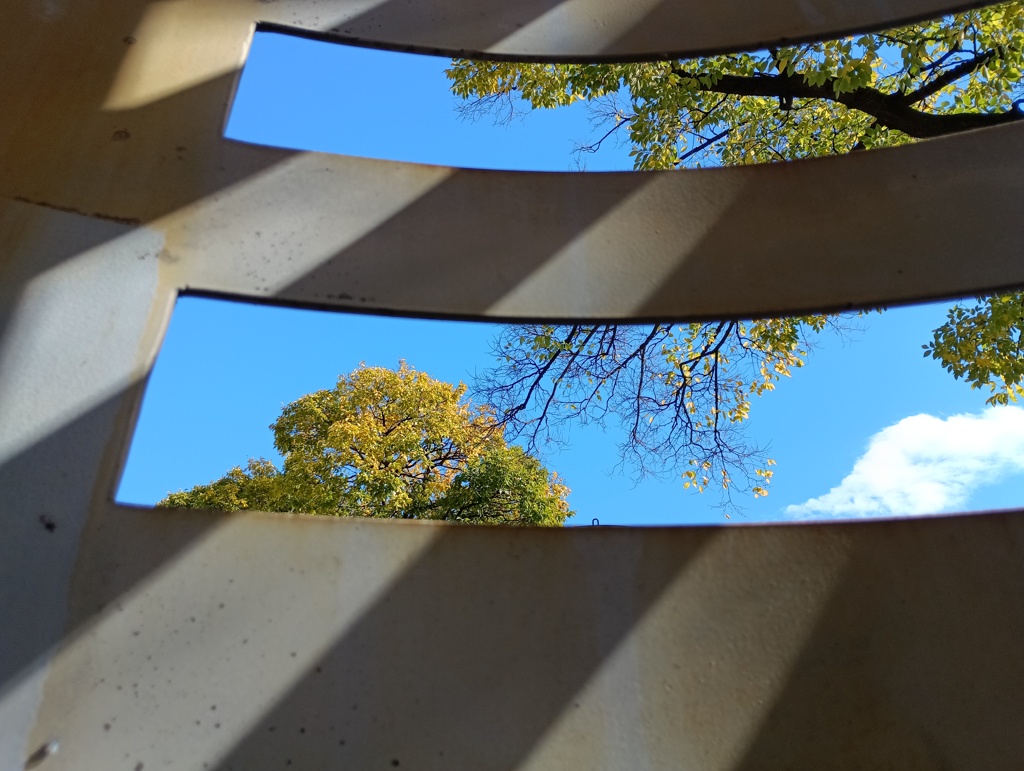 IMG_20241123_121732_1