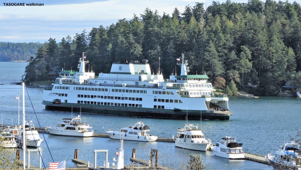 Friday Harbor ④ - 5