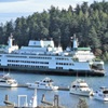 Friday Harbor ④ - 5