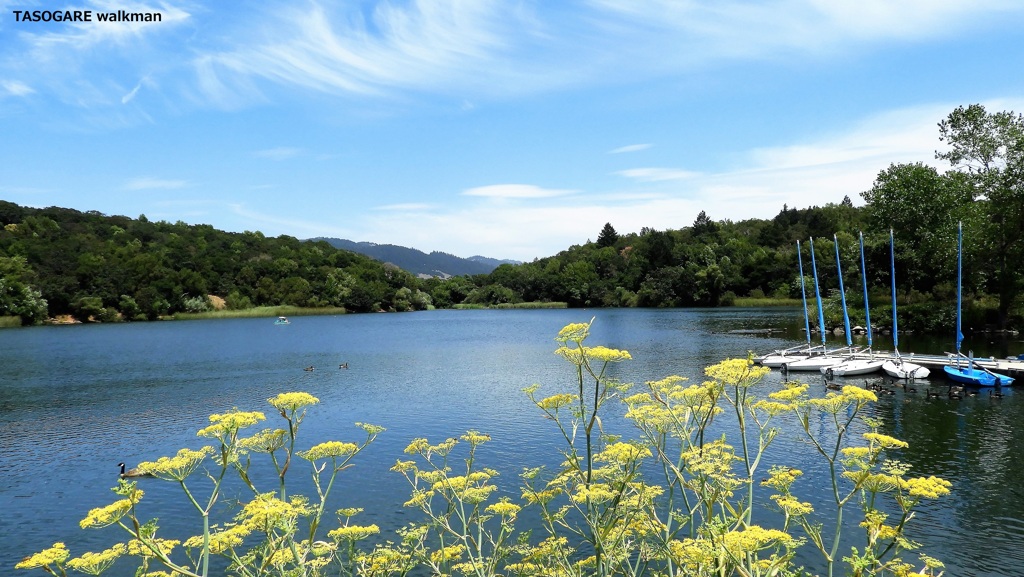 Lake Ralphine 1
