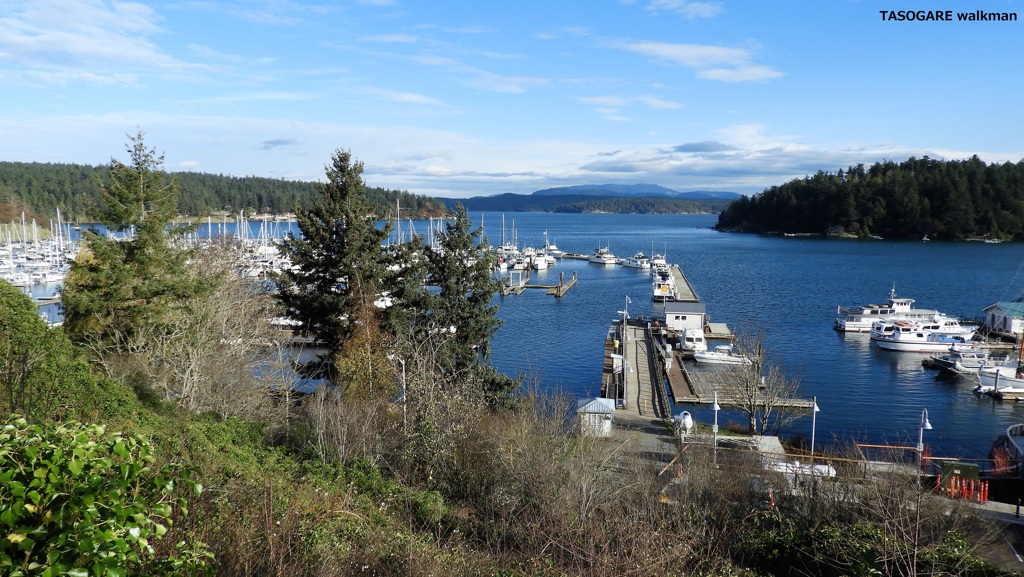 Friday Harbor ④ - 4
