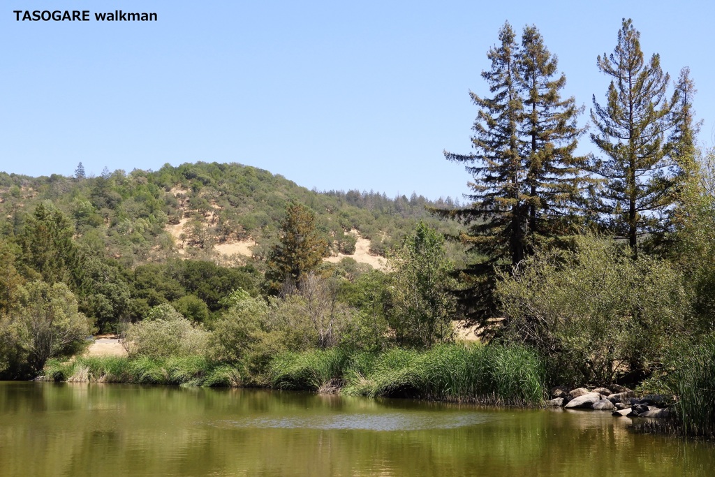 Spring Lake 2