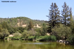 Spring Lake 2