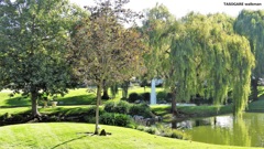 Business Park 3