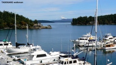 Friday Harbor ③