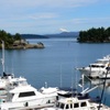 Friday Harbor ③