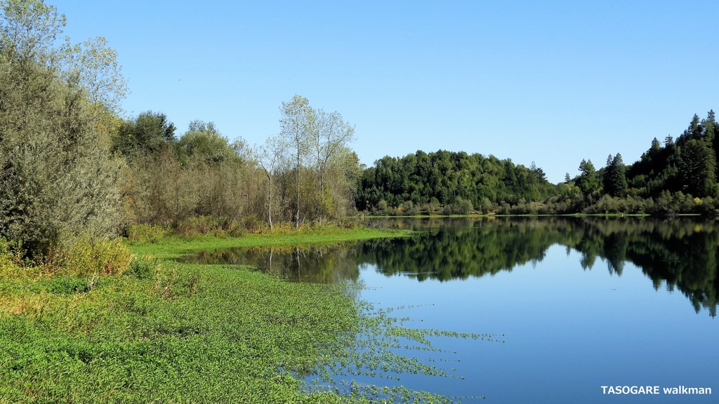 Riverfront Regional Park 3