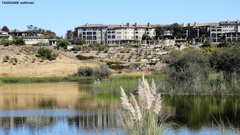 Nagasawa Park 2