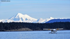 Friday Harbor ⑥ - 4