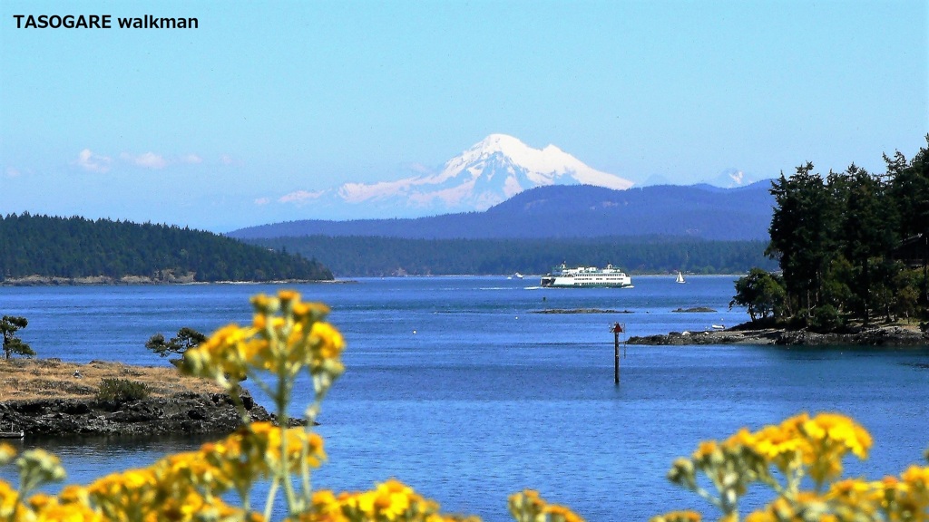 Friday Harbor ① - 6