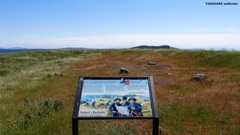 American Camp ②（Friday Harbor）