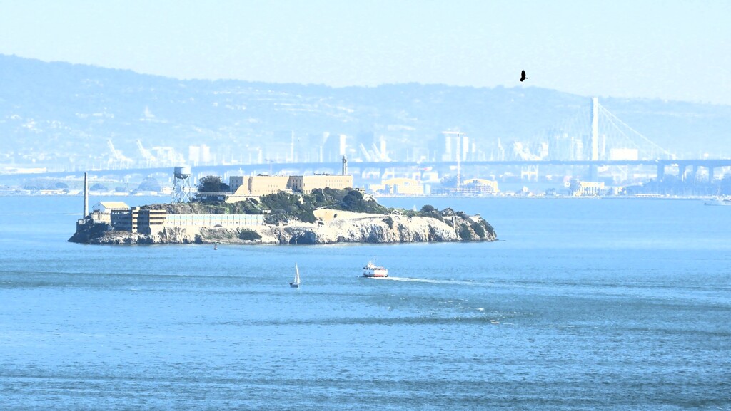 Alcatraz Island