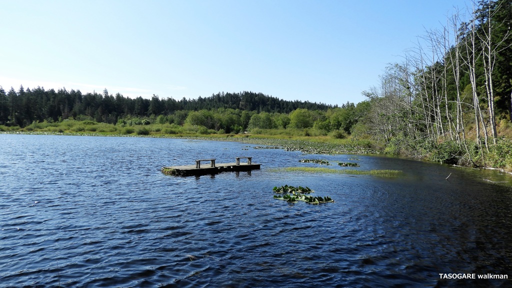 Friday Harbor ⑧ - 1