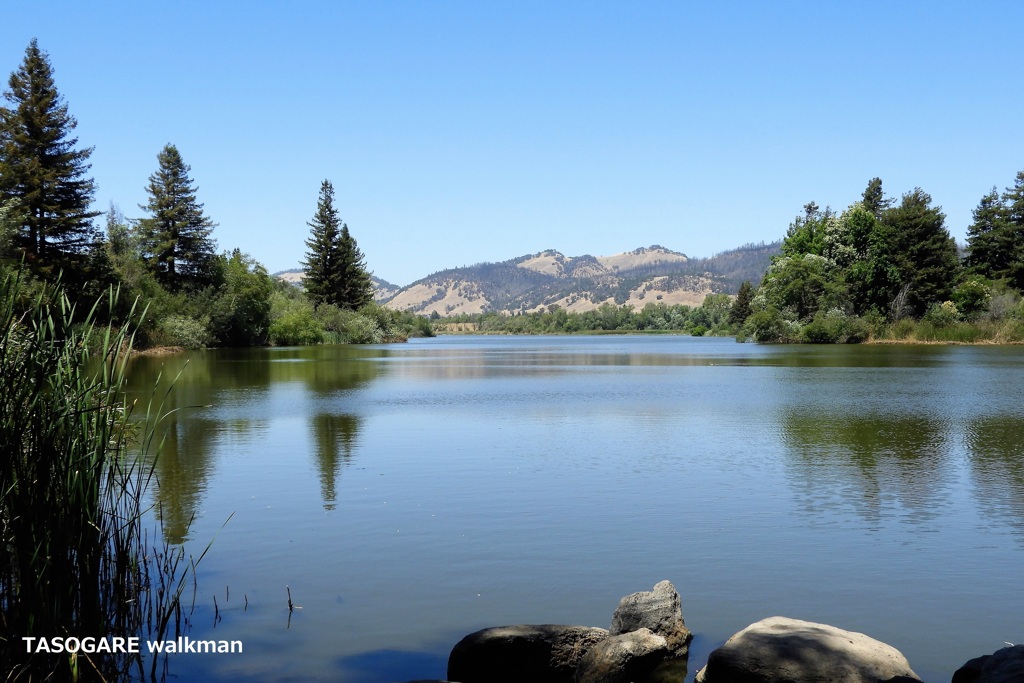 Spring Lake 3