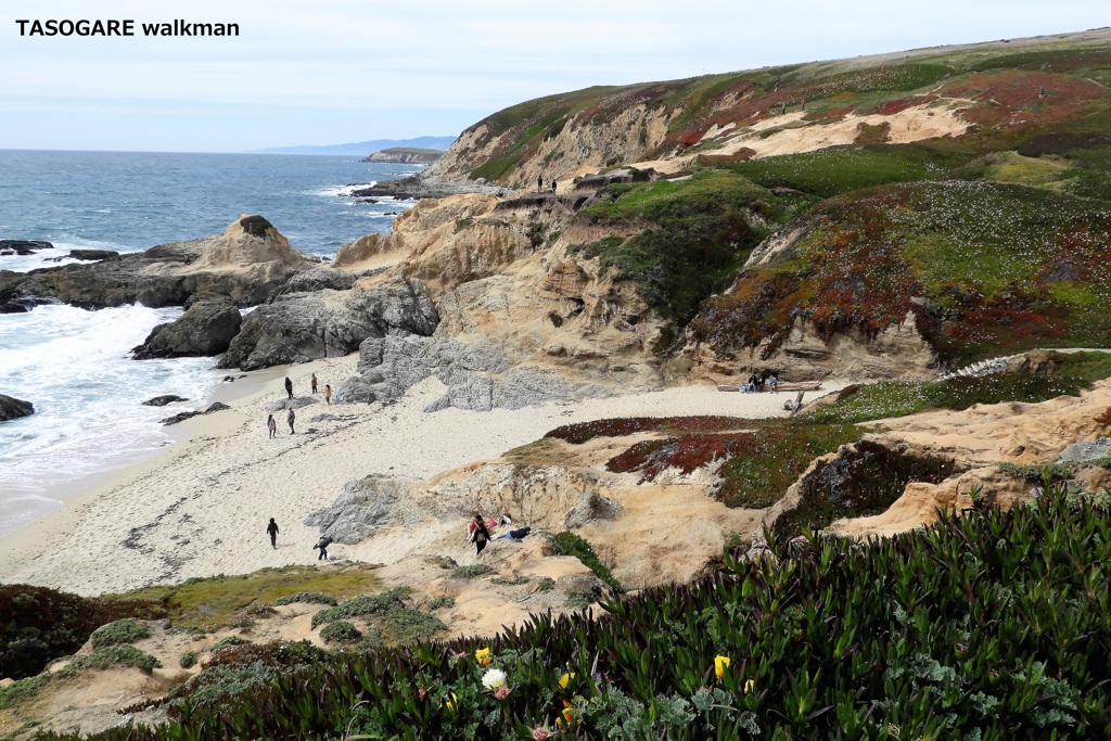 Bodega Bay 2