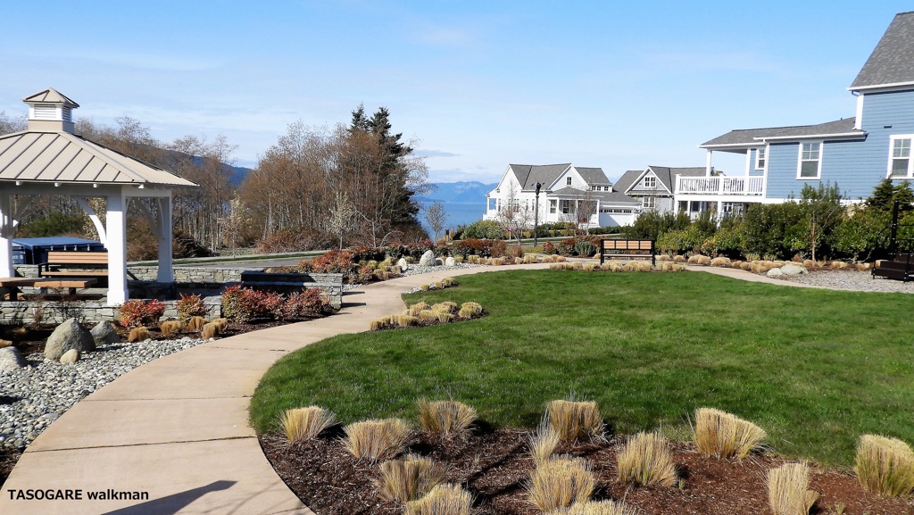 Anacortes 4
