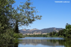 Spring Lake 1