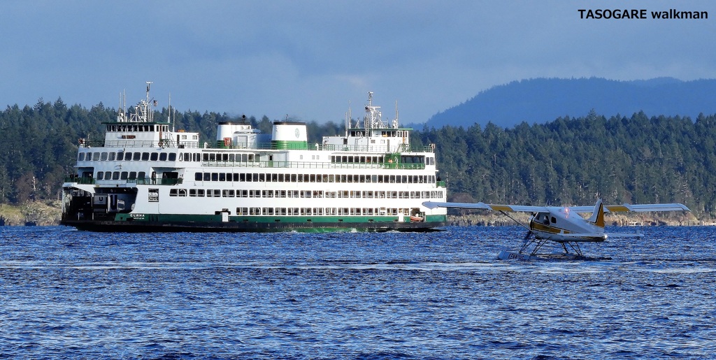 Friday Harbor ⑤