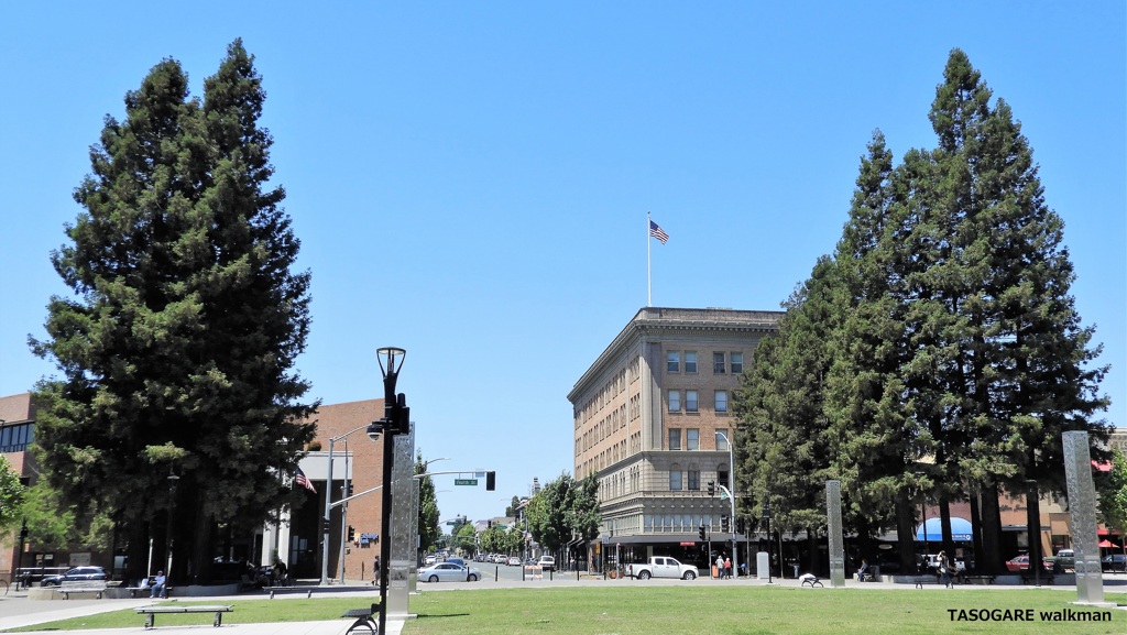 Old Courthouse Square 1