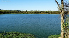 Lake Wilson 1