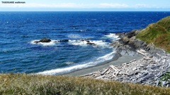 American Camp ③（Friday Harbor）