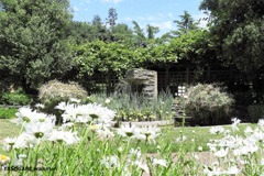 Luther Burbank Home & Gardens ① - 4