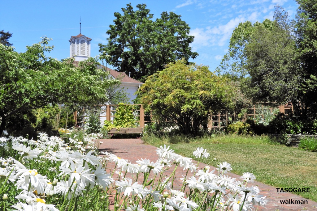 Luther Burbank Home & Gardens ① - 5