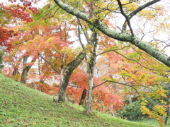 高遠城址の彩（６）