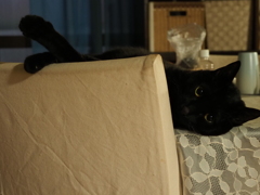 リラックスタイム