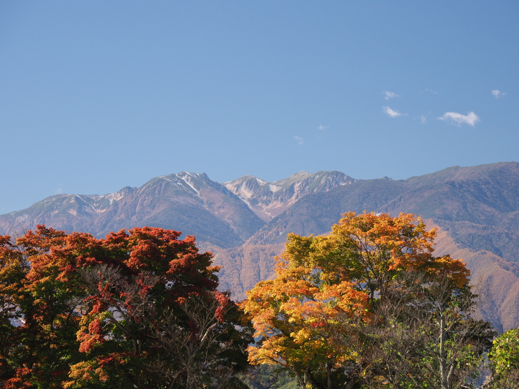 高遠城址公園にて（４）